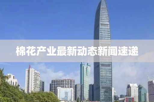 棉花产业最新动态新闻速递