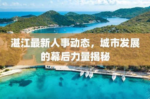 湛江最新人事动态，城市发展的幕后力量揭秘