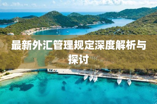 最新外汇管理规定深度解析与探讨