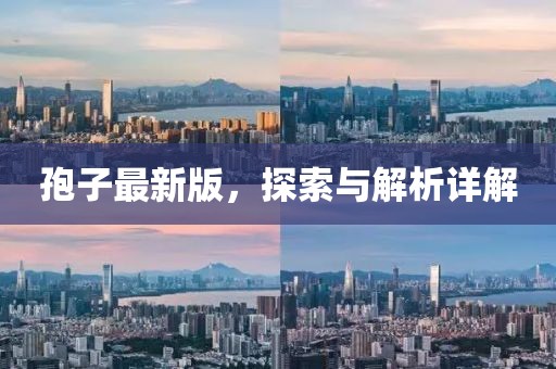 孢子最新版，探索与解析详解