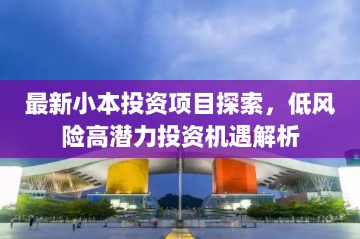 最新小本投资项目探索，低风险高潜力投资机遇解析