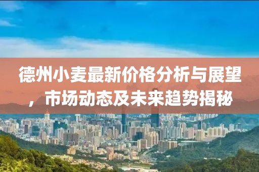 德州小麦最新价格分析与展望，市场动态及未来趋势揭秘