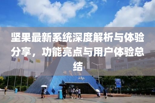 坚果最新系统深度解析与体验分享，功能亮点与用户体验总结