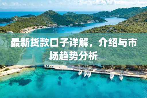 最新货款口子详解，介绍与市场趋势分析