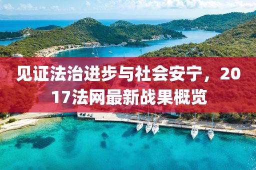 见证法治进步与社会安宁，2017法网最新战果概览