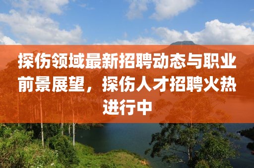 探伤领域最新招聘动态与职业前景展望，探伤人才招聘火热进行中