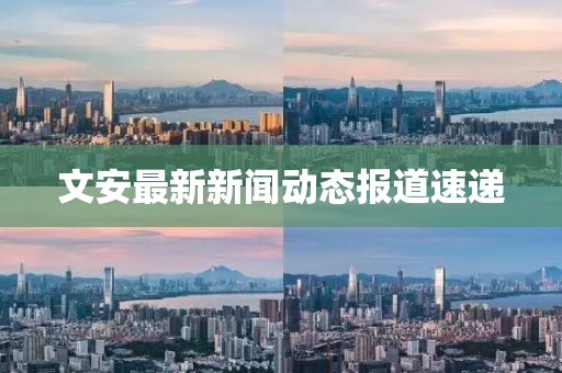 文安最新新闻动态报道速递