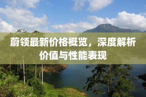 蔚领最新价格概览，深度解析价值与性能表现