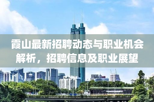 霞山最新招聘动态与职业机会解析，招聘信息及职业展望