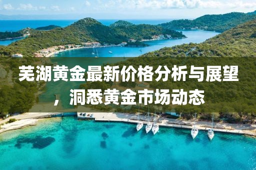 芜湖黄金最新价格分析与展望，洞悉黄金市场动态