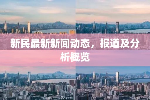 新民最新新闻动态，报道及分析概览