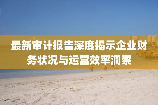 最新审计报告深度揭示企业财务状况与运营效率洞察
