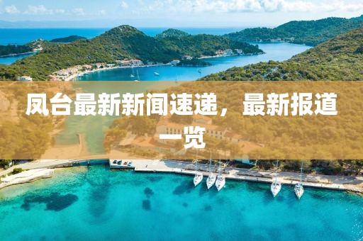 凤台最新新闻速递，最新报道一览