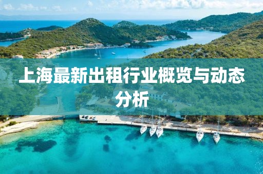 上海最新出租行业概览与动态分析