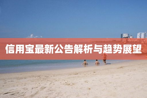 信用宝最新公告解析与趋势展望