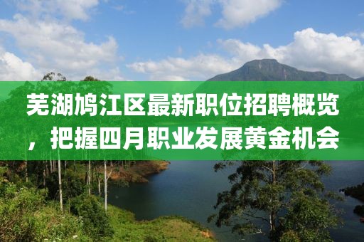 芜湖鸠江区最新职位招聘概览，把握四月职业发展黄金机会