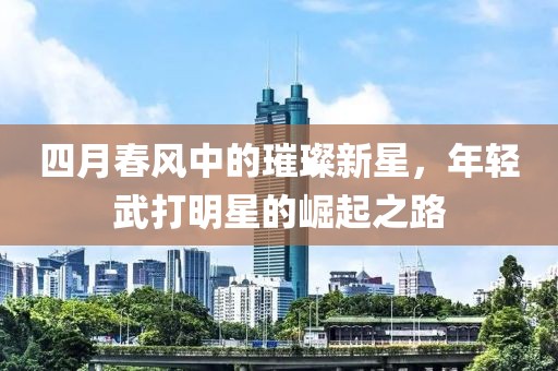 四月春风中的璀璨新星，年轻武打明星的崛起之路