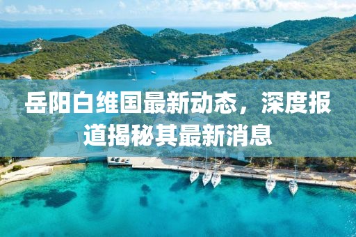 岳阳白维国最新动态，深度报道揭秘其最新消息