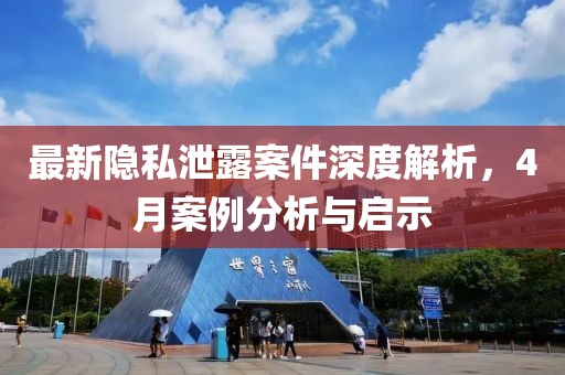 最新隐私泄露案件深度解析，4月案例分析与启示