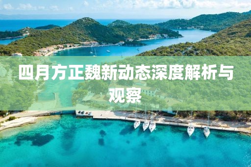 四月方正魏新动态深度解析与观察