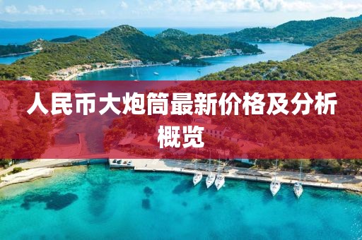 人民币大炮筒最新价格及分析概览