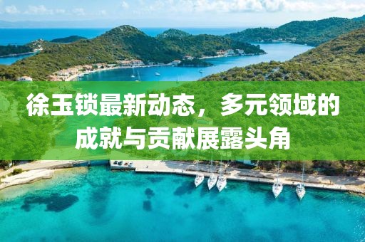 徐玉锁最新动态，多元领域的成就与贡献展露头角