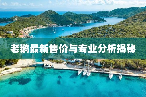 老鹅最新售价与专业分析揭秘