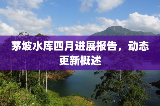 茅坡水库四月进展报告，动态更新概述