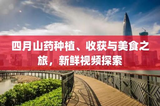 四月山药种植、收获与美食之旅，新鲜视频探索