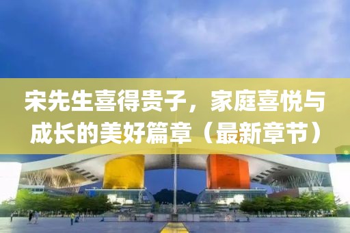 宋先生喜得贵子，家庭喜悦与成长的美好篇章（最新章节）