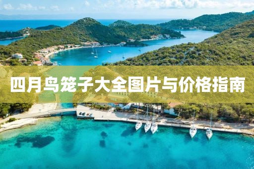 四月鸟笼子大全图片与价格指南