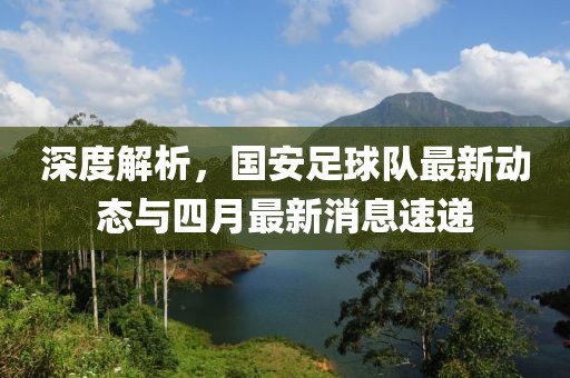 深度解析，国安足球队最新动态与四月最新消息速递