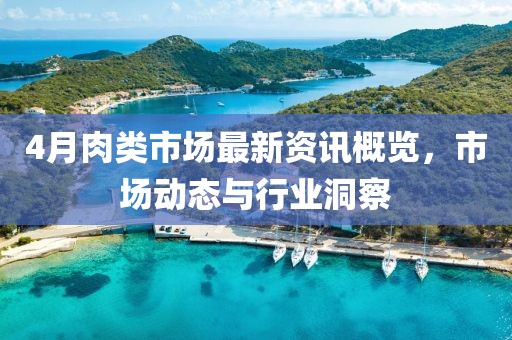 4月肉类市场最新资讯概览，市场动态与行业洞察