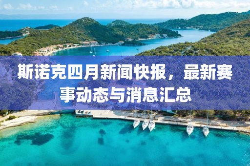 2025年4月26日 第5页