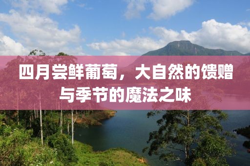 四月尝鲜葡萄，大自然的馈赠与季节的魔法之味