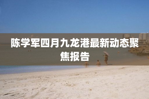 陈学军四月九龙港最新动态聚焦报告