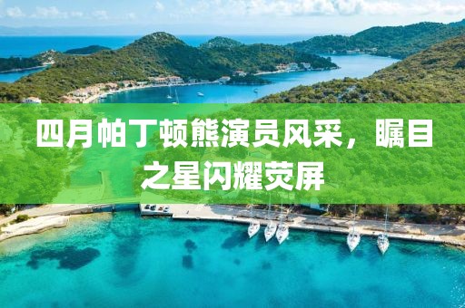 四月帕丁顿熊演员风采，瞩目之星闪耀荧屏