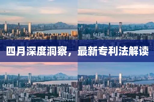 四月深度洞察，最新专利法解读