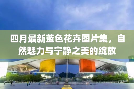 四月最新蓝色花卉图片集，自然魅力与宁静之美的绽放