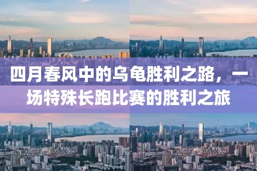 四月春风中的乌龟胜利之路，一场特殊长跑比赛的胜利之旅