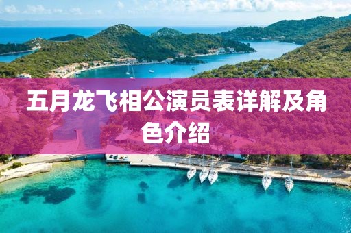 五月龙飞相公演员表详解及角色介绍