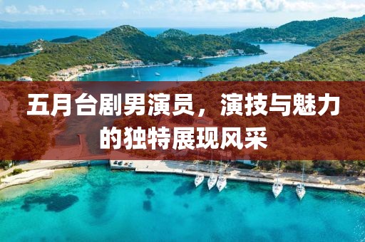 五月台剧男演员，演技与魅力的独特展现风采