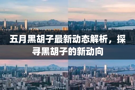 五月黑胡子最新动态解析，探寻黑胡子的新动向