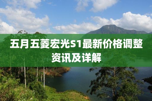 五月五菱宏光S1最新价格调整资讯及详解