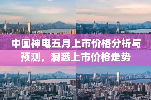 中国神电五月上市价格分析与预测，洞悉上市价格走势