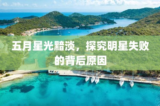 五月星光黯淡，探究明星失败的背后原因