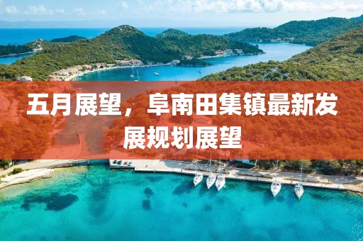 五月展望，阜南田集镇最新发展规划展望