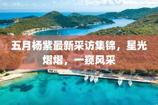 五月杨紫最新采访集锦，星光熠熠，一窥风采