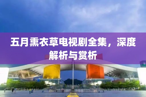 五月熏衣草电视剧全集，深度解析与赏析