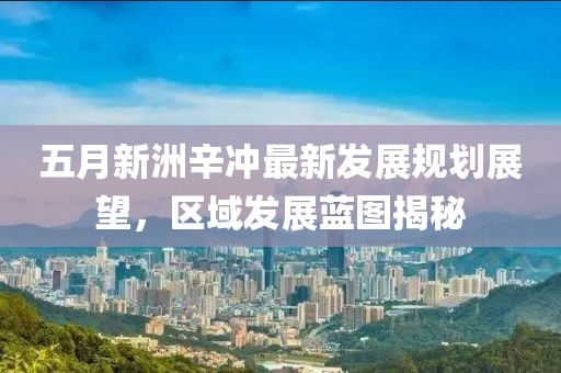 五月新洲辛冲最新发展规划展望，区域发展蓝图揭秘